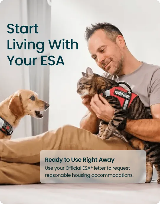 Start Living With Your ESA &mdash; A man holding a cat in a support animal vest while a golden retriever looks on