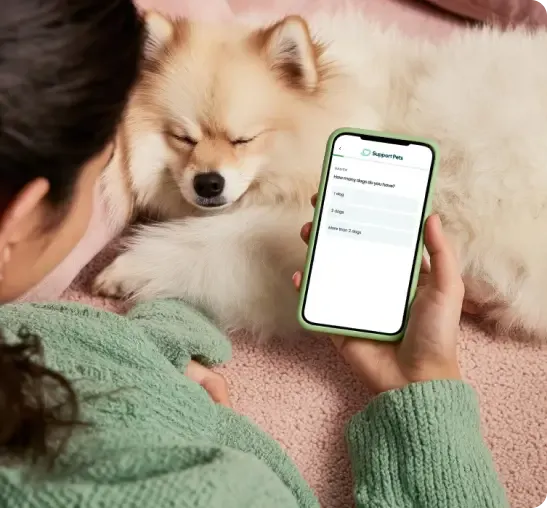 Person with phone and emotional support dog